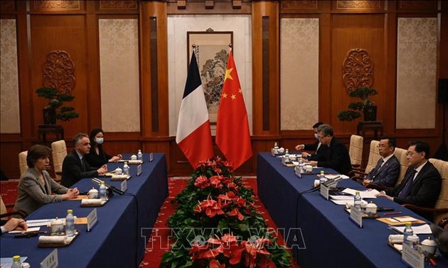 中国和法国加强各领域合作