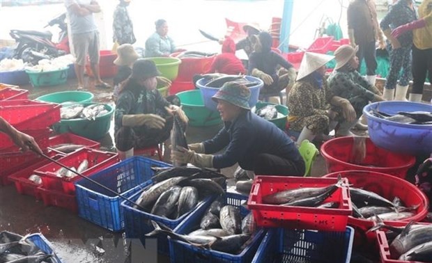 设立支持庆和省渔业发展的国家基金