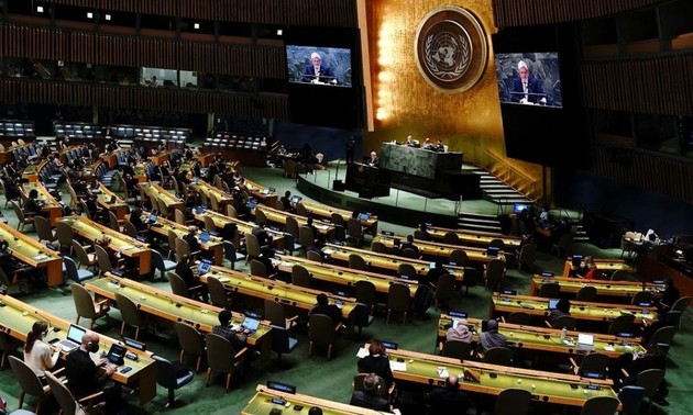 联合国大会讨论安理会的否决权