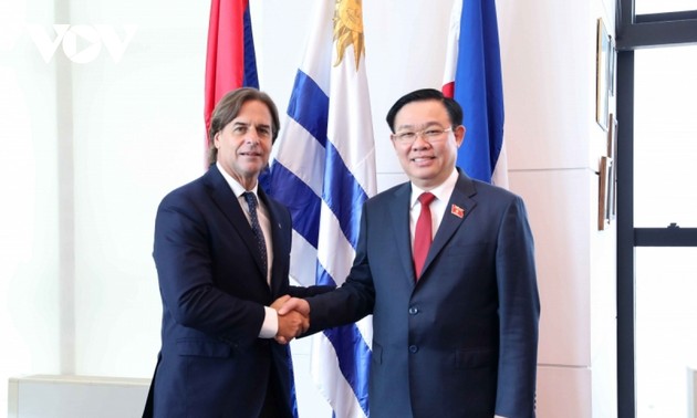 越南重视与乌拉圭的友好合作关系