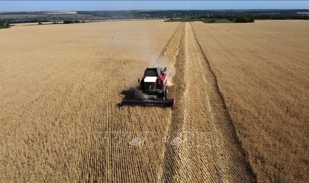 ​   欧盟五国允许乌克兰农产品过境
