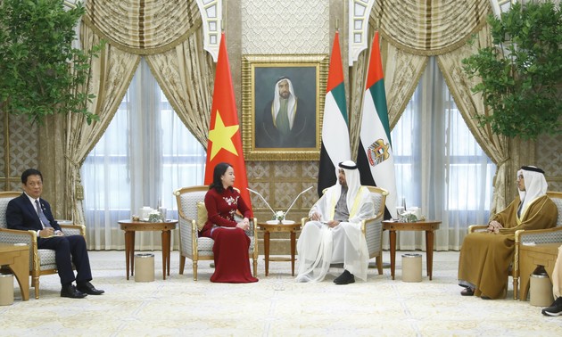越南国家副主席武氏映春会见阿联酋总统穆罕默德·本·扎耶德·阿勒纳哈扬