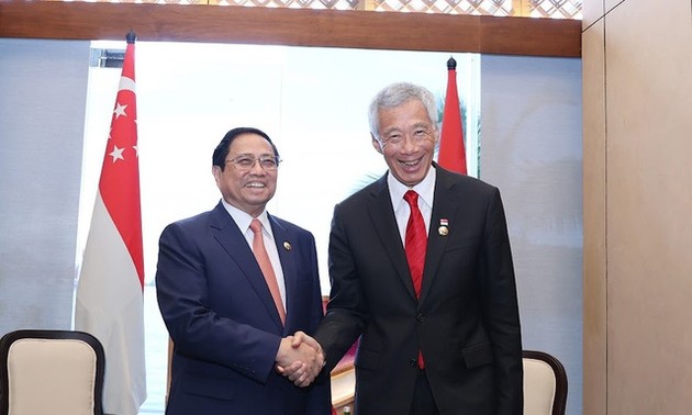 进一步加强越南与文莱、新加坡、老挝、马来西亚和菲律宾的多领域合作关系