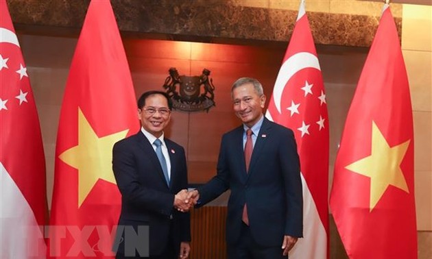 越南外交部长裴青山对新加坡进行正式访问