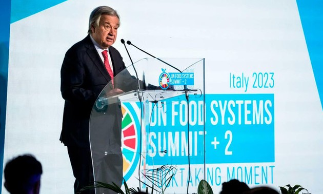 联合国粮食系统峰会开幕