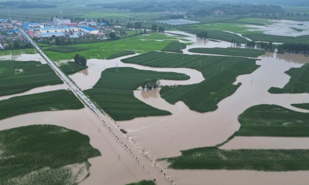 中国洪水可能给全球粮食价格带来压力
