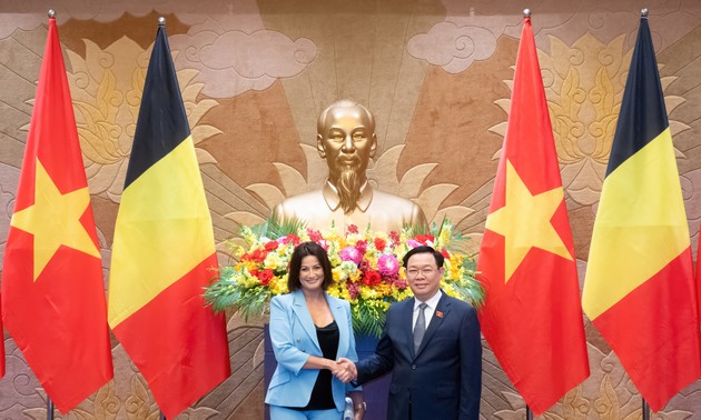 越南国会主席王庭惠与比利时参议院议长举行会谈