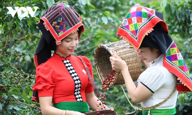 山罗省咖啡节推崇越南咖啡