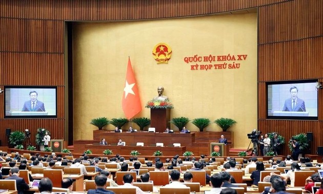 越南第十五届国会第六次会议第四周：聚焦立法和监督工作