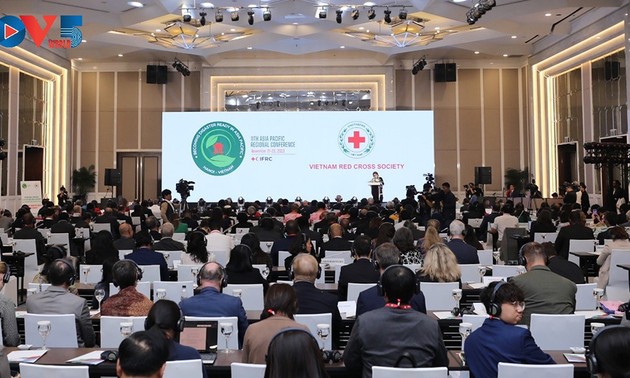 越南愿为国际红十字与红新月运动作出积极有效贡献