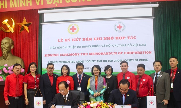 加强越南红十字会与中国红十字会的合作