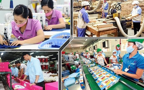 越南经济简讯