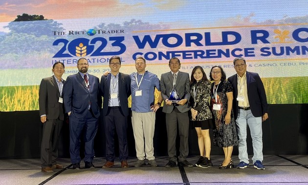 越南ST25香米第二次荣获世界最好大米奖