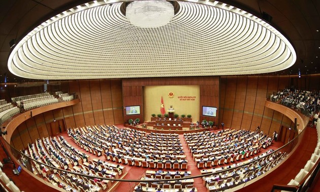 第一次普选78周年：越南国会是全民大团结力量的体现