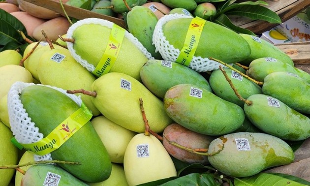 越南加工果蔬出口额首次​​突破10亿美元