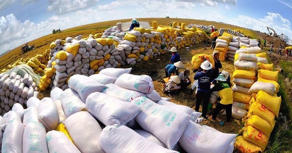 越南承诺继续为全球粮食安全作出积极贡献