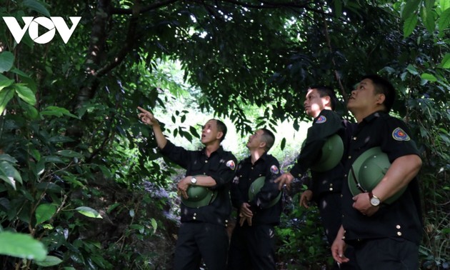世界银行向越南通过保护森林减少排放支付5150万美元