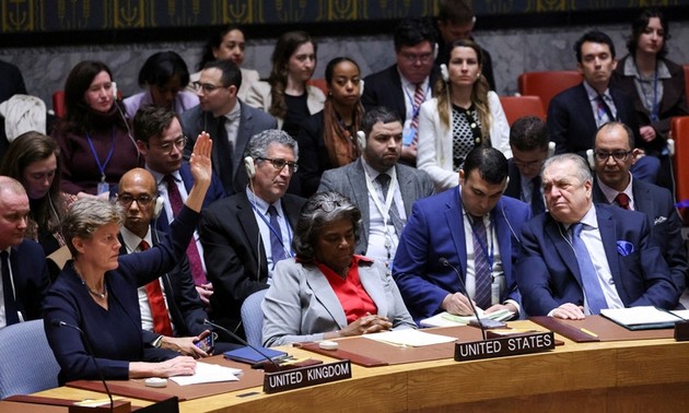 联合国安理会通过决议呼吁加沙立即停火