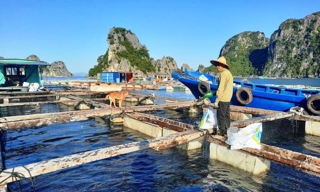 广宁省——可持续海水养殖的典范