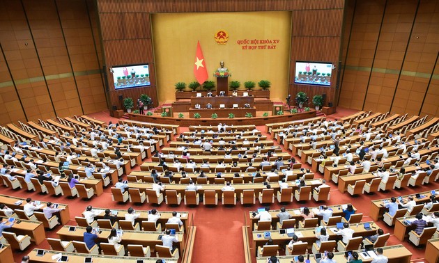 《人口贩卖预防法修正案（草案）》助力越南更好落实国际条约