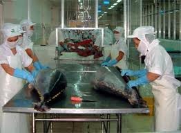 Timur Tengah adalah pasar ekspor ikan tuna penting dari Vietnam