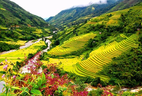 Provinsi Lao Cai akan menerima kedatangan satu juta wisatawan