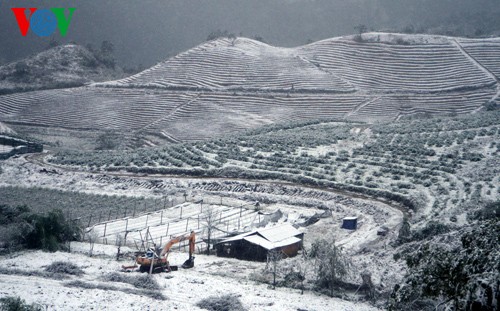 Salju turun di daerah pegunungan Vietnam Utara