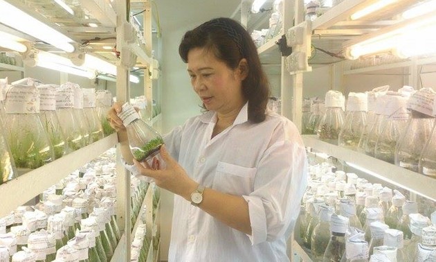 Doktor Ha Thi Thuy: Menyediakan kegandrungan ilmu pengetahuan pada bibit-bibit pohon