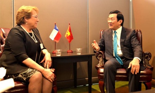 Presiden Truong Tan Sang melakukan pertemuan dengan Presiden Austria dan Presiden Cile