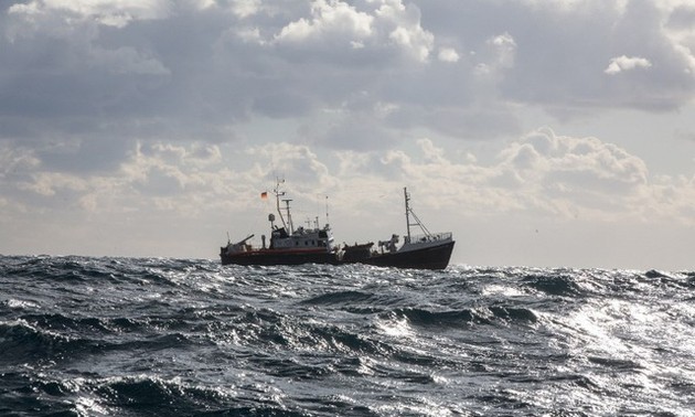 Malte: solution pour accueillir les 49 migrants bloqués en mer