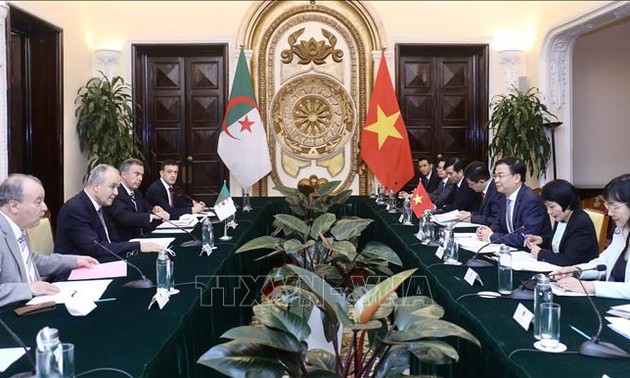 Vietnam-Algérie: Consultation politique au niveau des vice-ministres des Affaires étrangères 