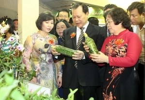 Konferenz zur Investitions- , Handels- und Tourismusförderung im Mekong-Delta