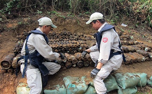 Konzentration auf Beseitigung von Minenfolgen in Vietnam