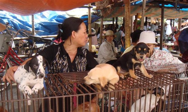 Hang-Markt – eine Besonderheit in Hai Phong