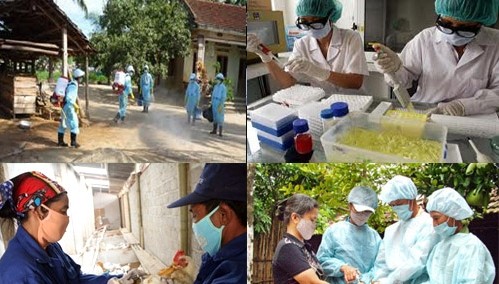 Rückblick auf Umsetzung der Initiative zum Kampf gegen Vogelgrippe und Epidemien