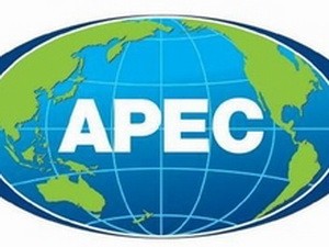 APEC soll Haushaltsverbrauch fördern