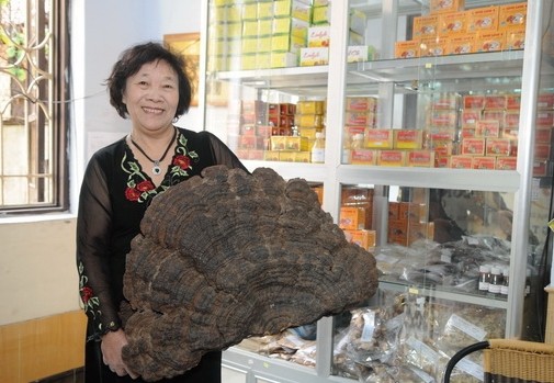 Erfolge der Unternehmerin Nguyen Thi Chinh stammen aus Pilzanbau