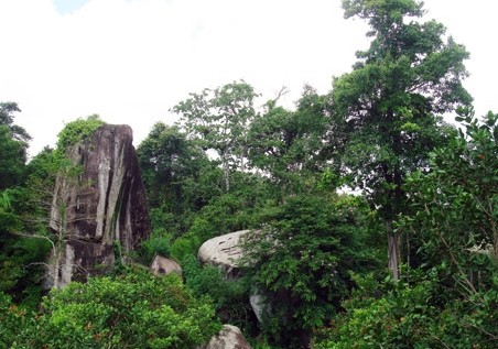 Erstes Waldfestival Vietnams wird Ende 2014 veranstaltet