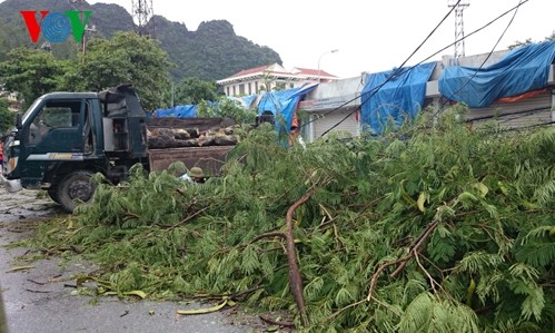 Nordvietnamesische Provinzen ergreifen Maßnahmen gegen Taifun Kalmaegi