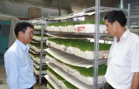 Hilfsfonds für Landwirte in Ho Chi Minh Stadt