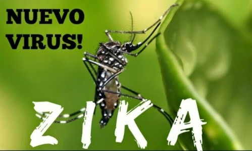 Zika-Virus: Kein Fall in Vietnam 