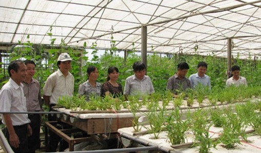 Vietnam ermöglicht Unternehmen aus Kyushu, in Vietnam effizient tätig zu sein.
