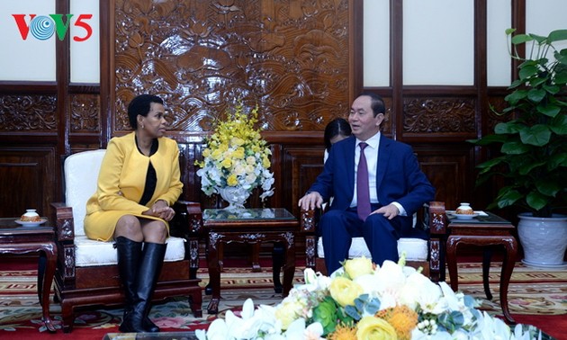 Staatspräsident Tran Dai Quang empfängt die südafrikanische Botschafterin
