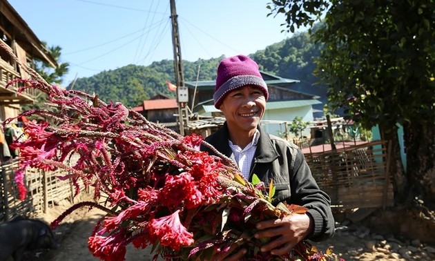 Das Blumen-Fest der Volksgruppe Cong in der Provinz Dien Bien