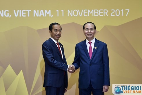 Staatspräsident Tran Dai Quang empfängt Indonesiens Präsident Joko Widodo