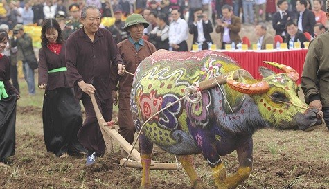 Vizepremierminister Truong Hoa Binh nimmt am Pflugfest in Ha Nam teil