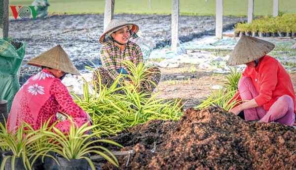 Partner für nachhaltige Landwirtschaftsentwicklung in Vietnam und öffentlich-privater Dialog 