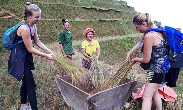 Bauern in Ha Giang engagieren sich für Gemeinschaftstourismus