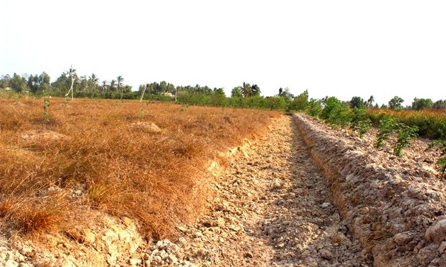 EU helfen den von Dürre und Versalzung betroffenen Bewohnern in Vietnam