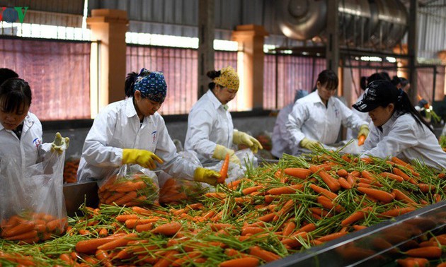 Die Landwirtschaftsbranche fördert Exportmärkte für landwirtschaftliche Produkte